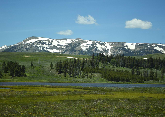 Yellowstone 6