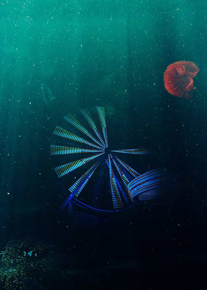 Underwater Circus
