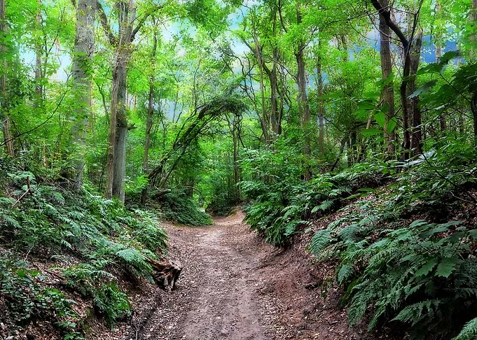 Old Roman road