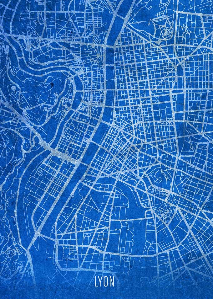 Lyon City Street Map