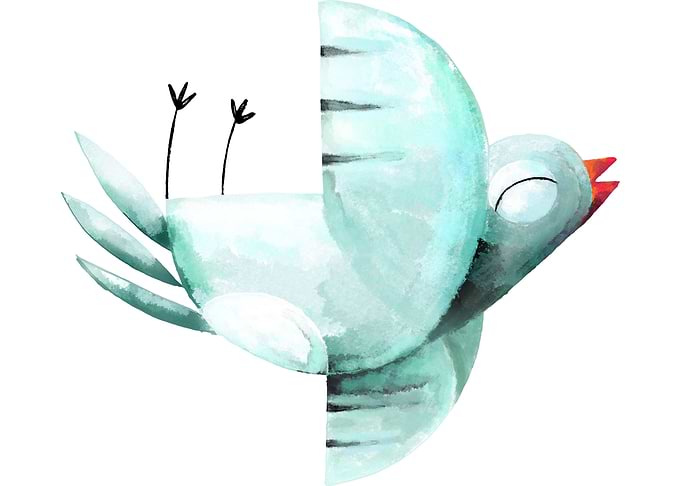 HAPPY PIGEON 2