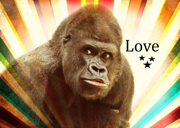 Colorful Gorilla Love