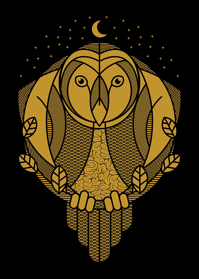Owl Night