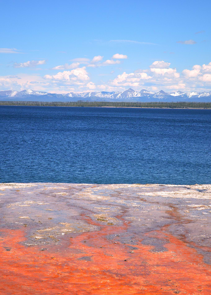 Yellowstone 4