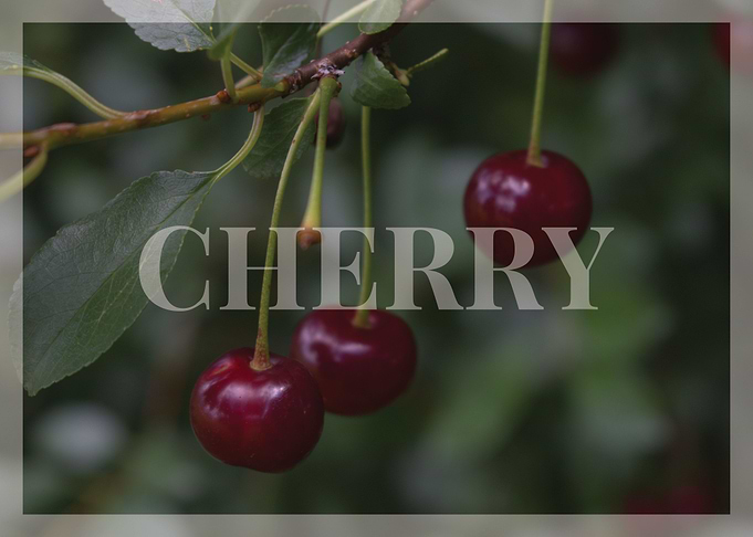 Cherry