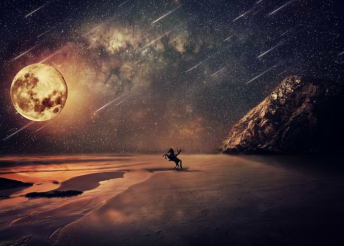 moonlight adventure