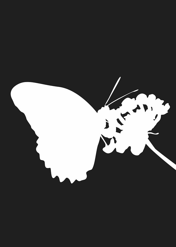 Butterfly Silhouette