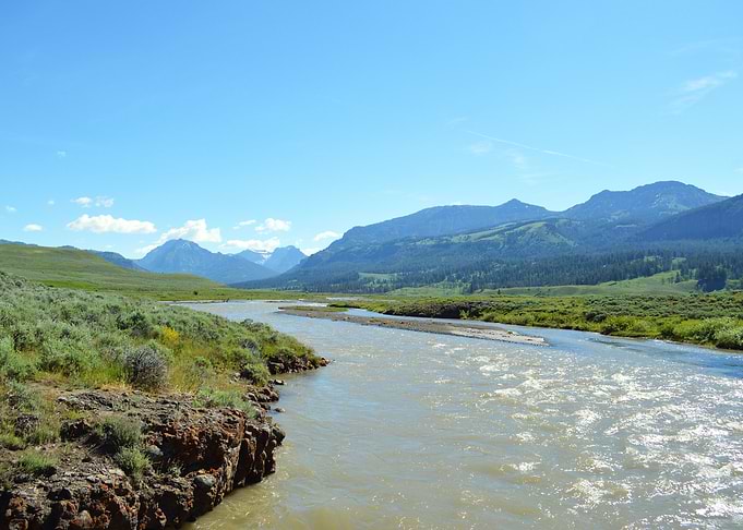 Yellowstone 11