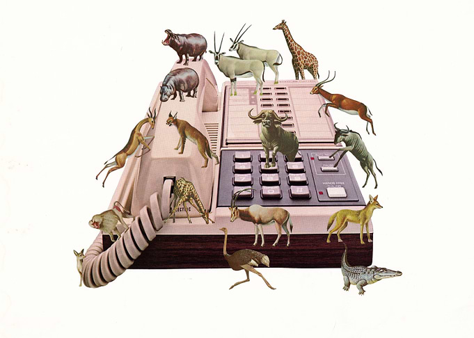 Wild Office [collage]