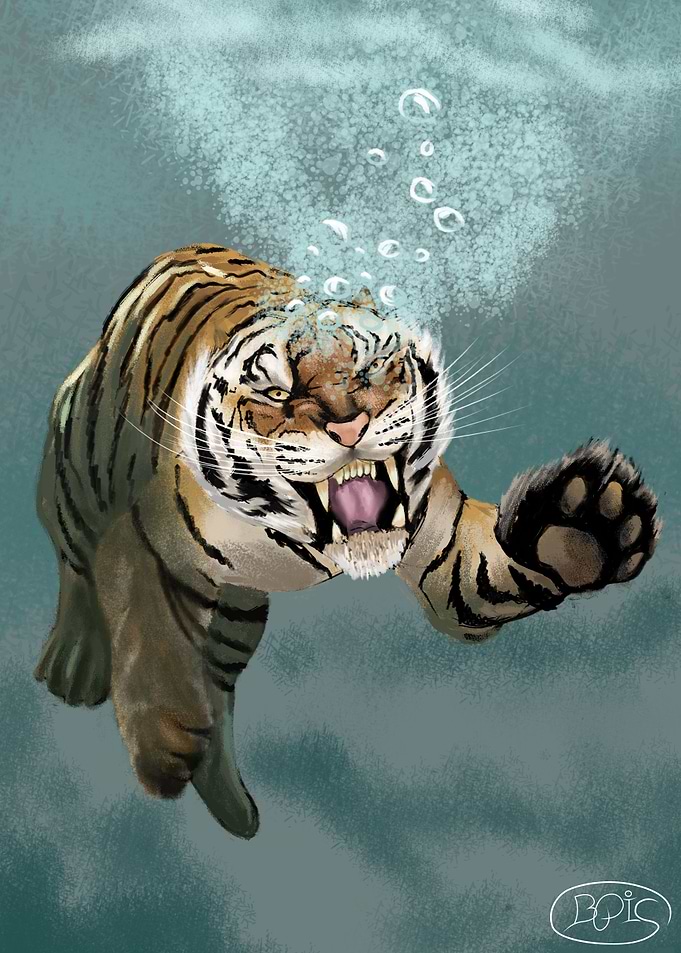 Tiger in water