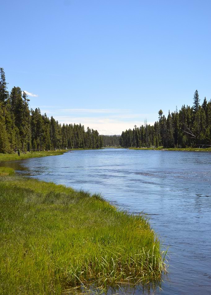 Yellowstone 8
