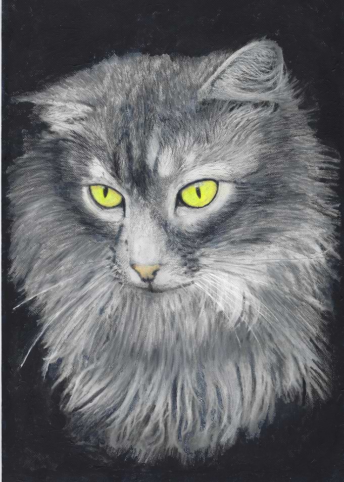 Phantom the Cat