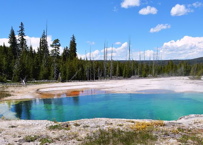 Yellowstone 3