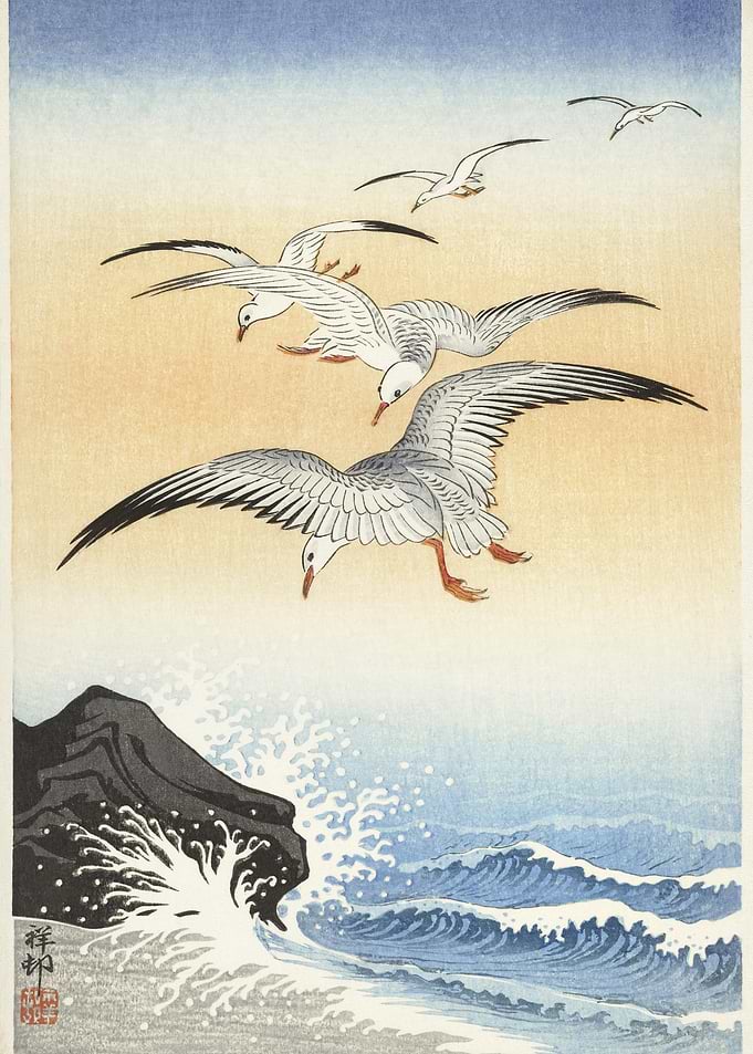 Five Seagulls Above Turbul