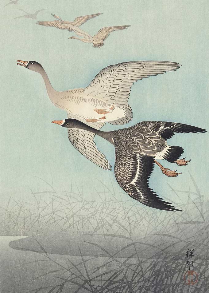 Great Geese In Flight 1925