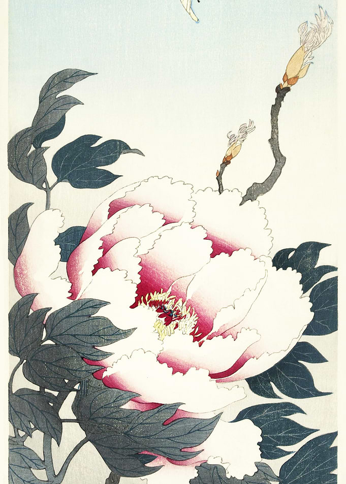 Peony With Butterfly 1925