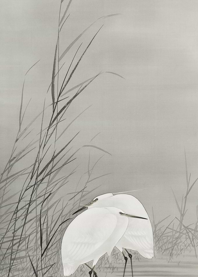 Egrets In A Swamp 18771945
