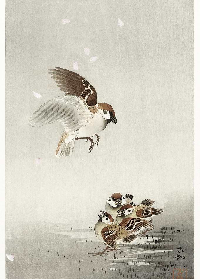 Tree Sparrow With Boy 1900