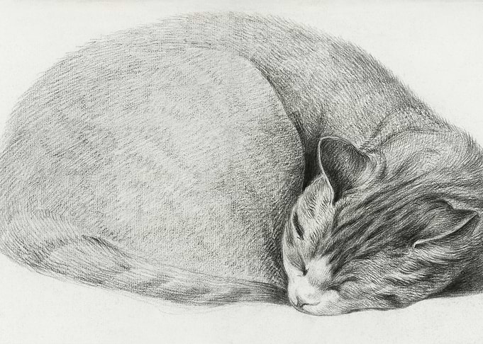 Rolled Up Lying Sleeping C