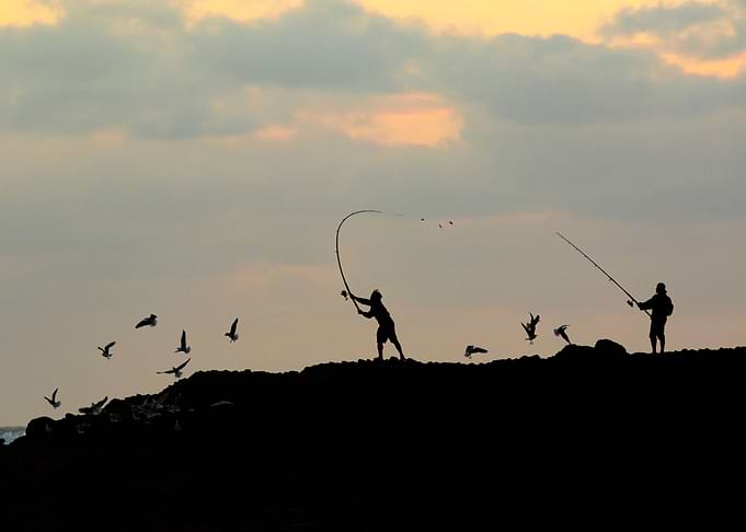 Casting a LIne