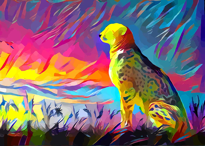 Cheetah