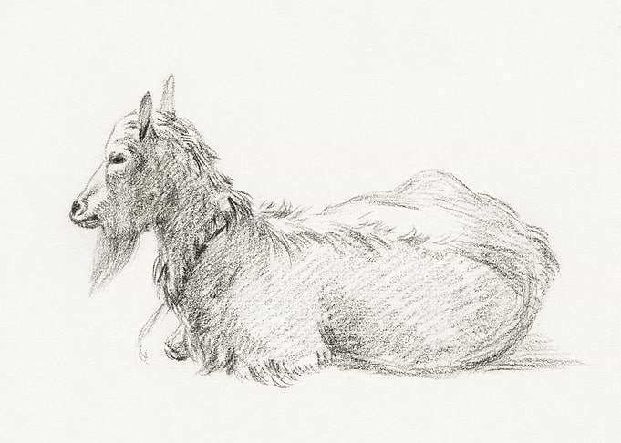 Lying Goat 1810 By Jean Be