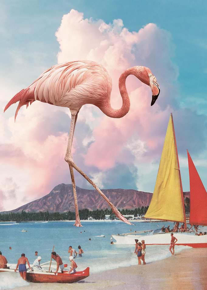 Flamingo Playground