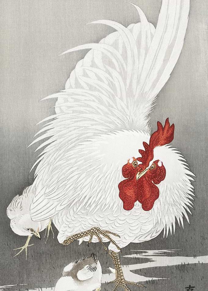 Rooster And Three Chicks 1