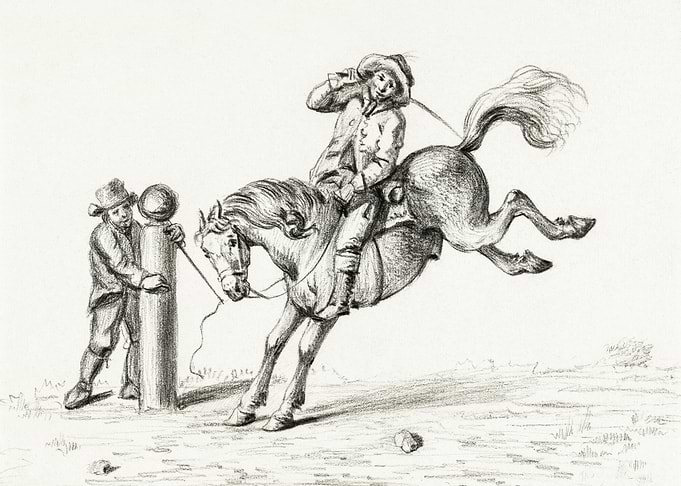 Taming A Horse By Jean Ber