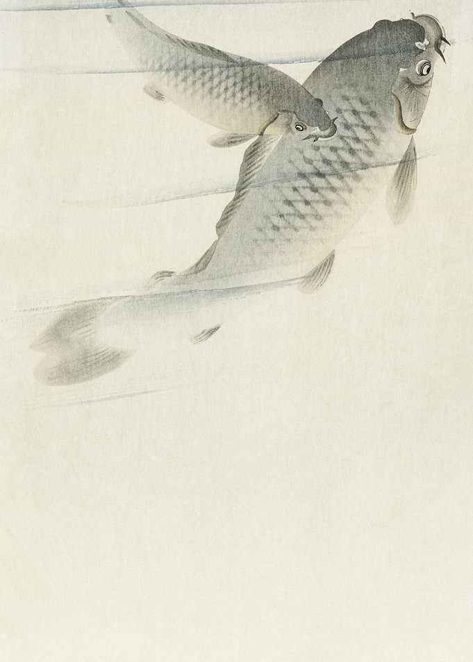 Carp 1900 1936 By Ohara K