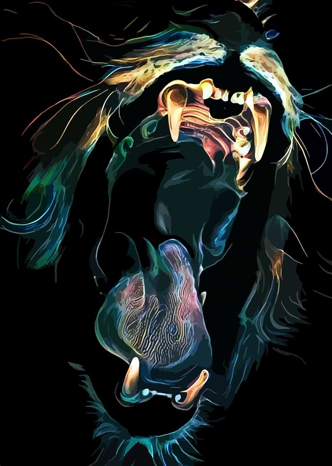 Black Lion Yawn