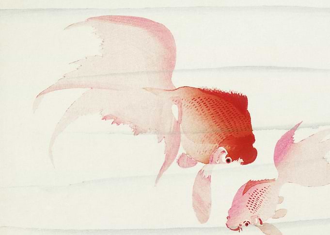 Gold Fish 1900 1936 By Oh