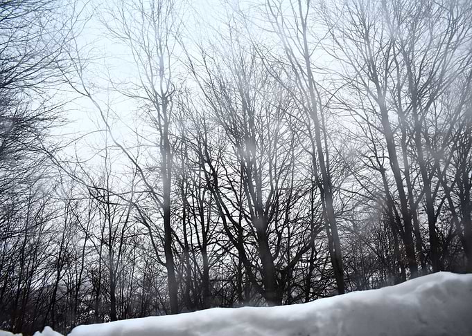 white snow abstract