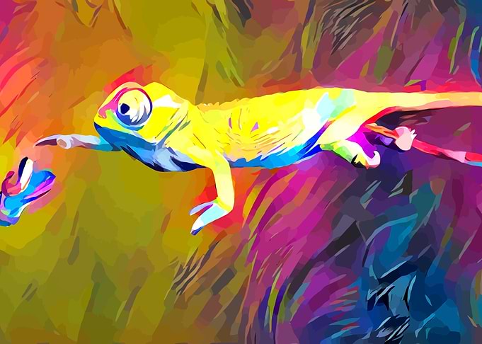 Baby Chameleon
