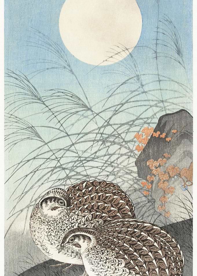 Two Quails At Full Moon 19
