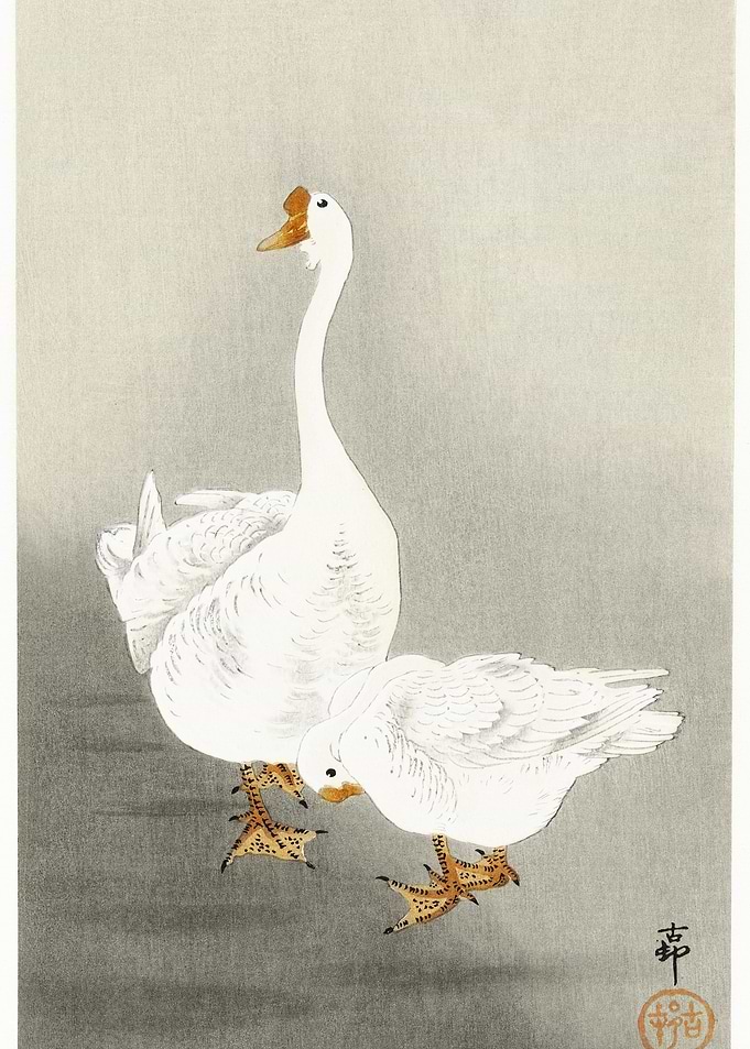 Two Geese 1900 1930 By Oh