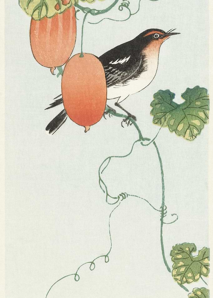 Songbird In Cucumber Plant