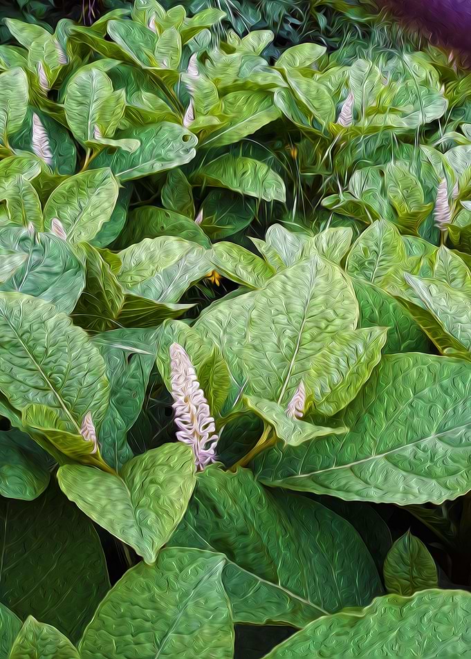 Vibration of the garden