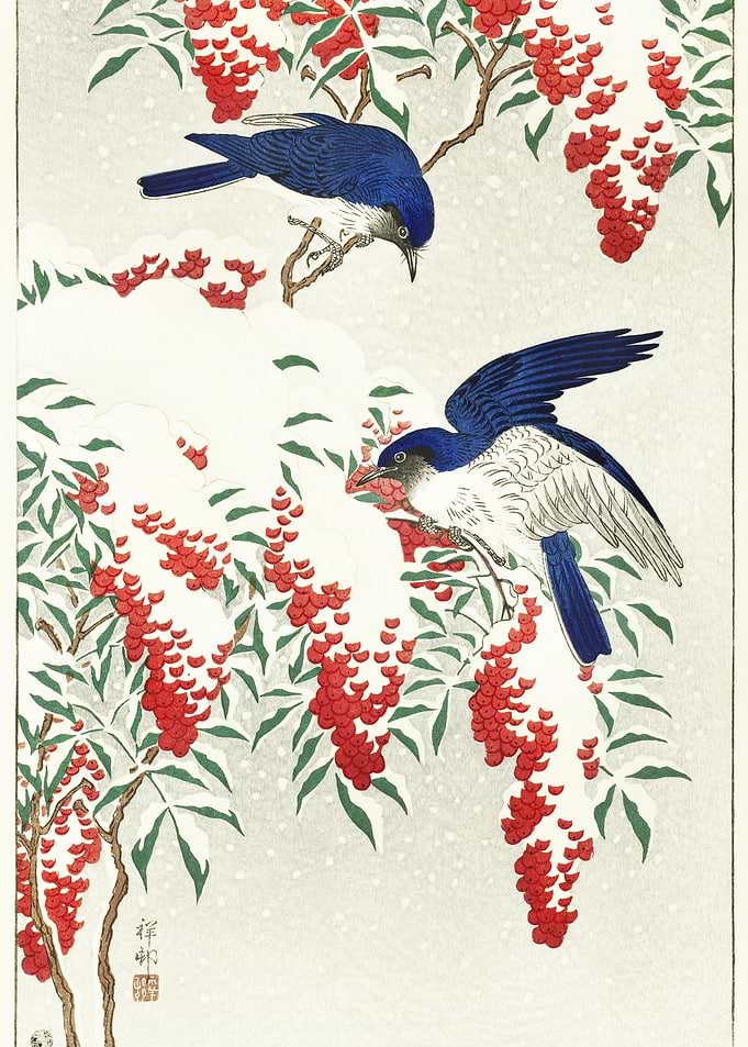 Flycatchers On A Nandina B