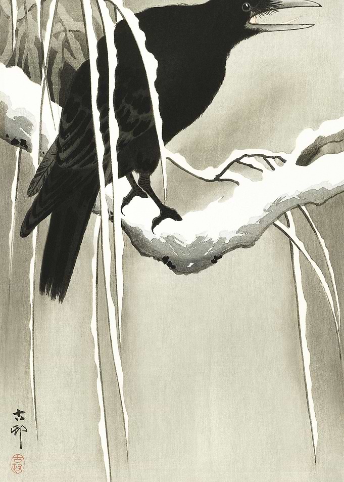 Crow On Snowy Branch 1900