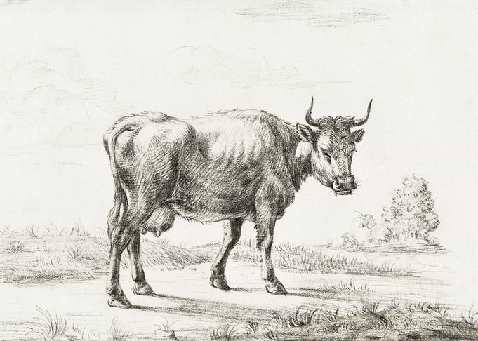 Cow By Jean Bernard 177518