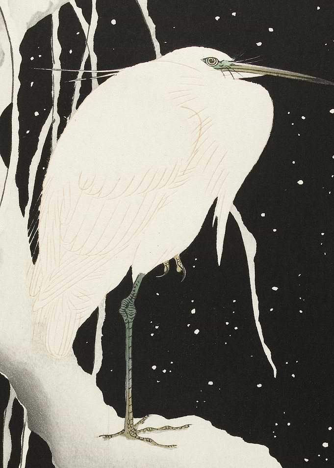 Heron In Snow 19251936 By