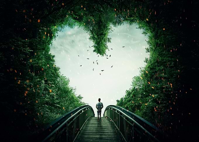 follow your heart