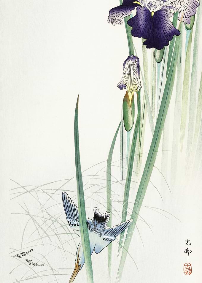 Kingfisher And Irises 1900