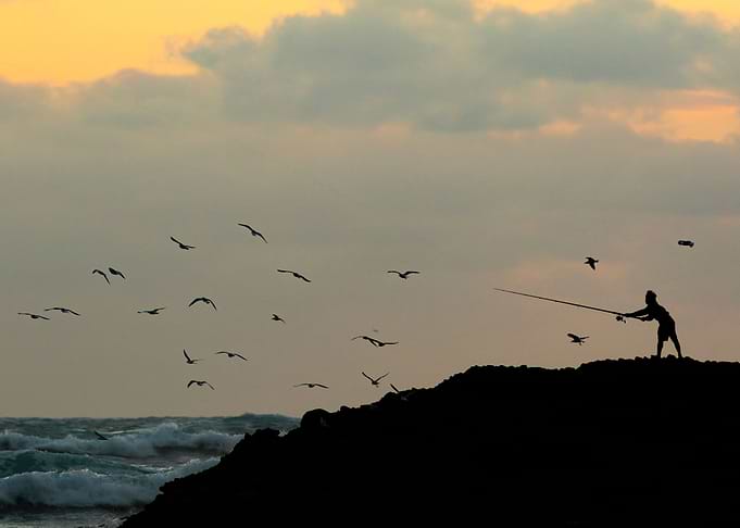 Stirring of the Birds