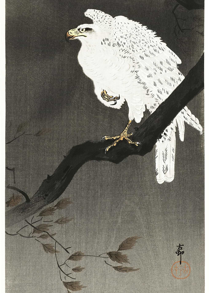 Snowy Eagle On A Tree Bran