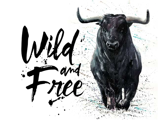 Buffalo Wild and Free