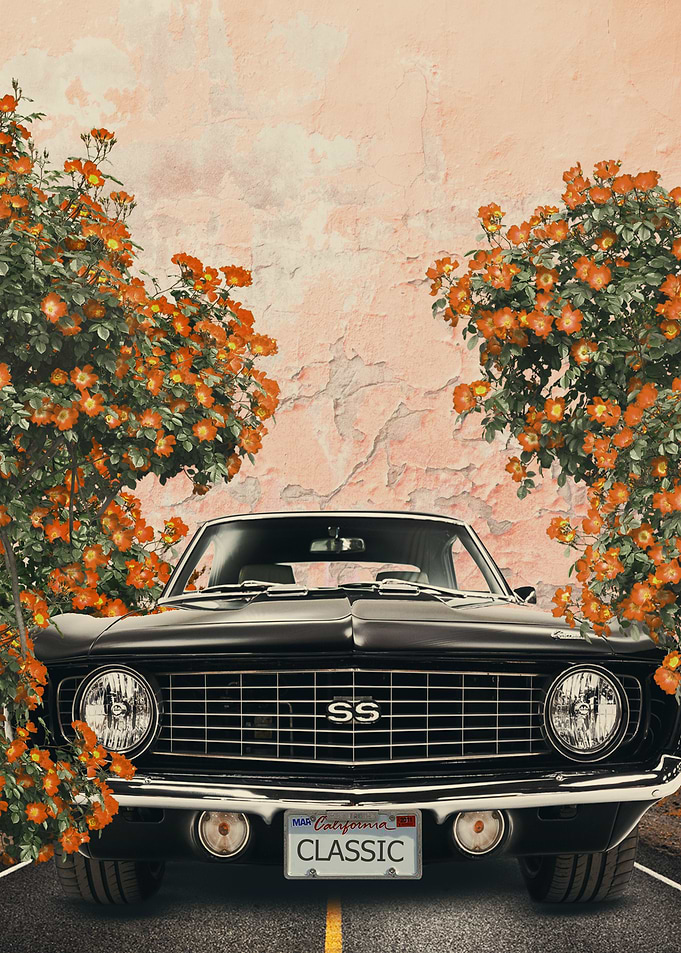 Vintage camaro
