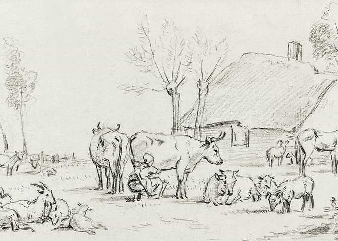 Farmyard With Cattle And M