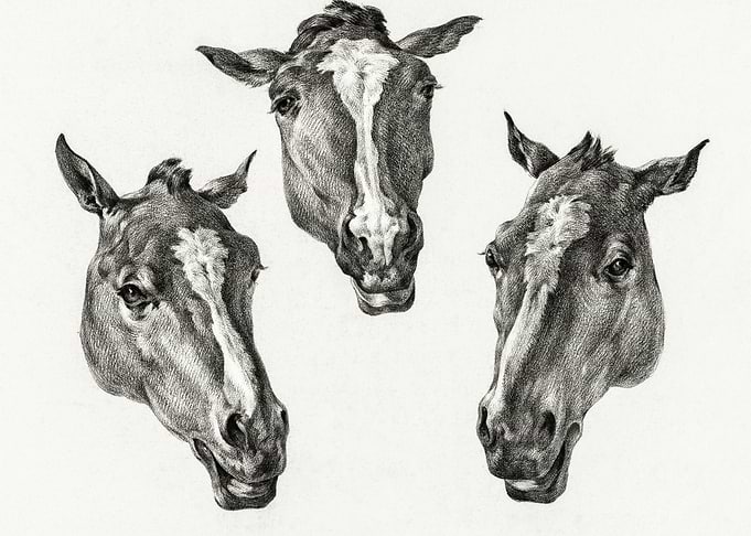 Three Horse Heads 1812 By